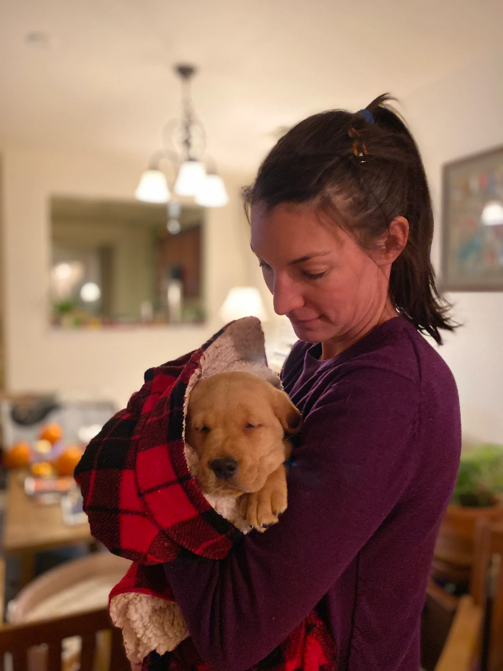 Person holding a puppy indoors.