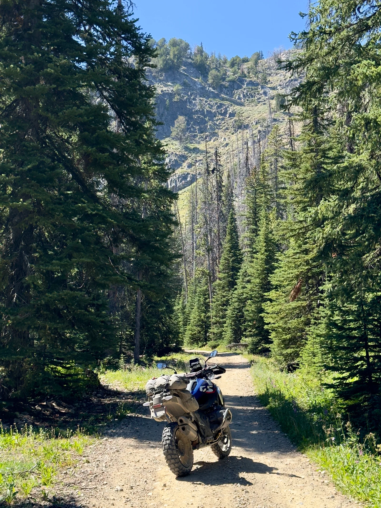Blue BMW GS motorcycle parked on a rocky forest trail.