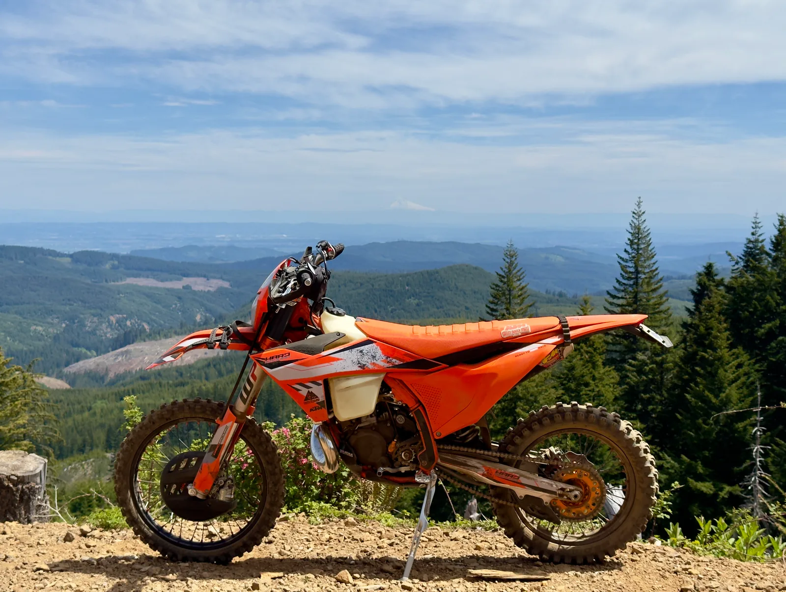 Orange KTM dirt bike on a narrow trail lined with yellow wildflowers.