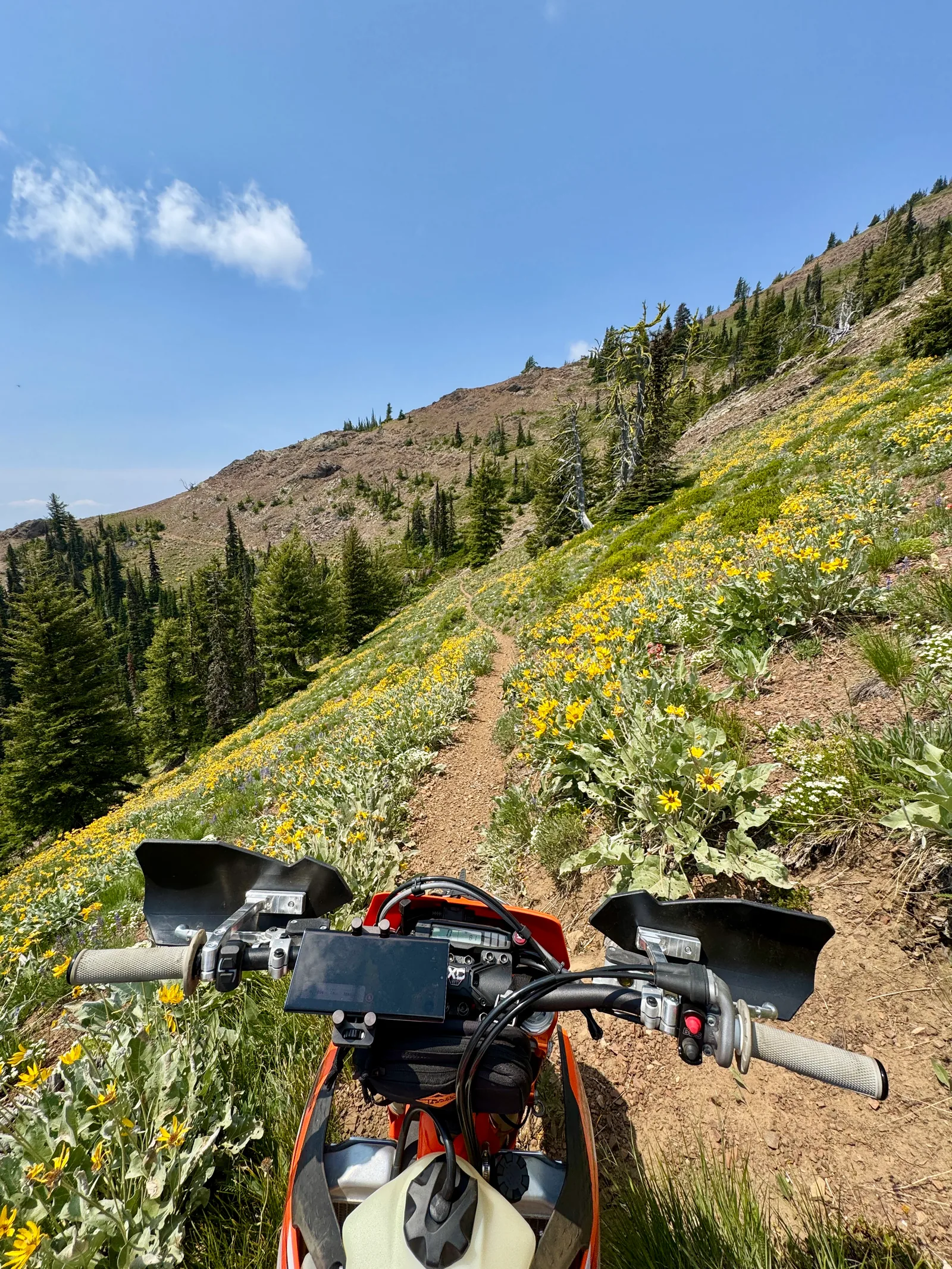Blue BMW GS motorcycle packed with bags and parked in a driveway.