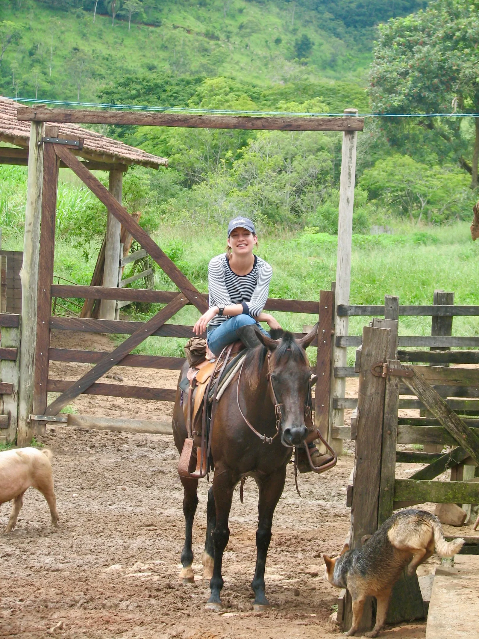 Rider on horseback in a corral.